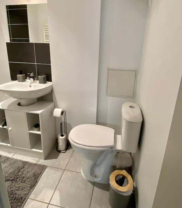 Vaste Appartement Renove - Centre Ville 布雷斯地区布尔格 外观 照片